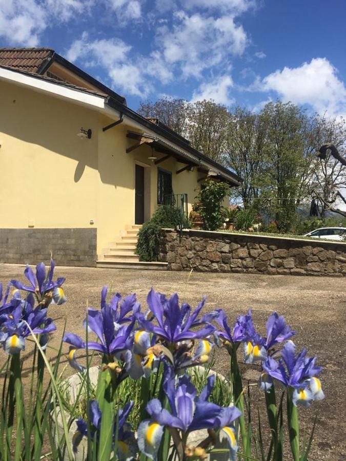 B & B Casal Pereto Valmontone Eksteriør billede