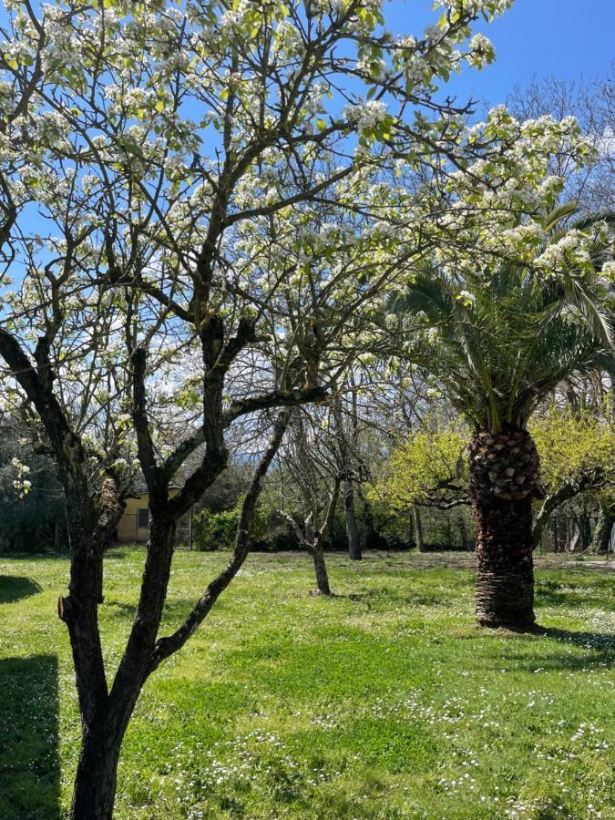 B & B Casal Pereto Valmontone Eksteriør billede