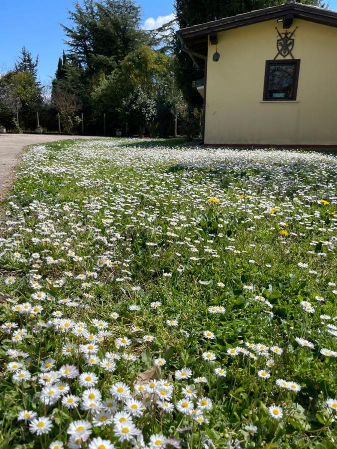 B & B Casal Pereto Valmontone Eksteriør billede